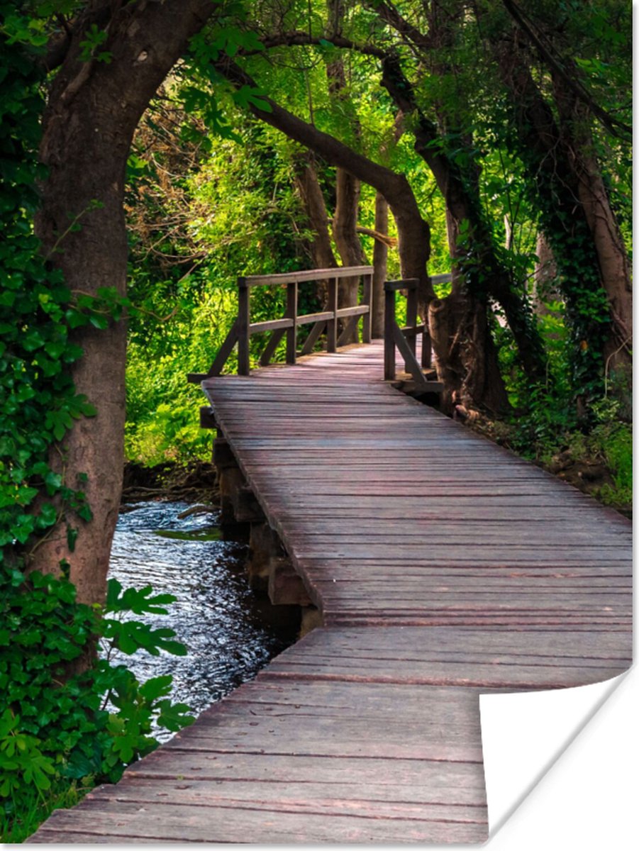 Poster Bos - Natuur - Brug - 60x80 cm