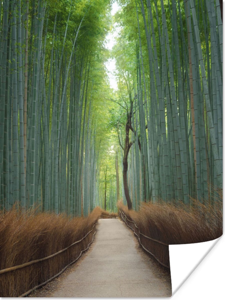 Poster Bamboe - Pad - Bos - 90x120 cm
