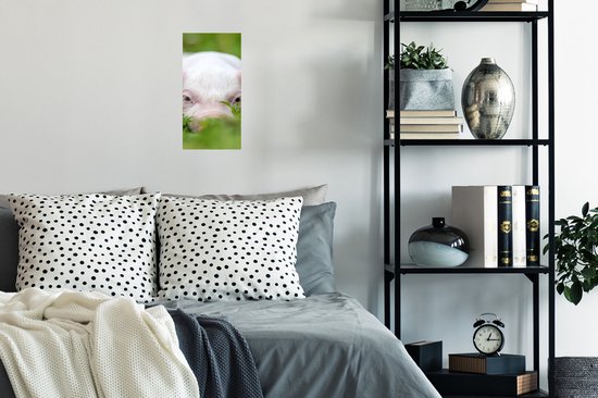Poster Cochon - Animaux - Grand - 20x40 cm