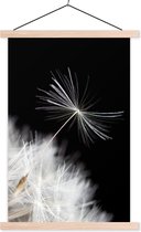 Porte-affiche avec affiche - Affiche scolaire - Bloem - Pissenlit - Plante - 120x180 cm - Lattes vierges