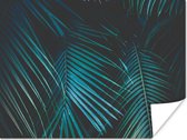 Poster Palm - Palmboom - Tropisch - 40x30 cm