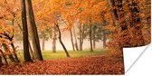 Affiche Feuilles - Automne - Forêt - 160x80 cm