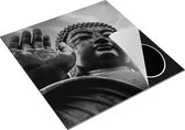 Chefcare Inductie Beschermer Groot Boeddha Standbeeld van Dichtbij - Zwart Wit - 78x78 cm - Afdekplaat Inductie - Kookplaat Beschermer - Inductie Mat