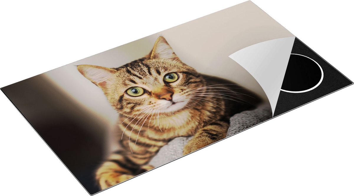 Chefcare Inductie Beschermer Kat met Wijde Ogen - 90x50 cm - Afdekplaat Inductie - Kookplaat Beschermer - Inductie Mat