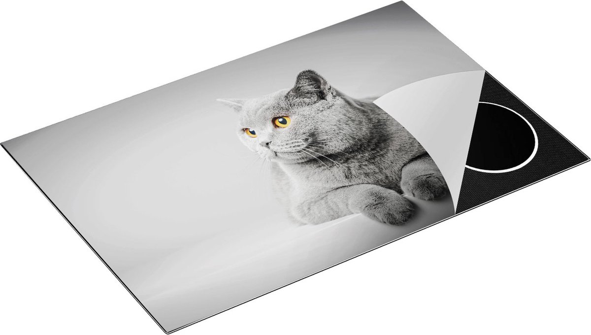 Chefcare Inductie Beschermer Grijze Kat met Oranje Ogen - 80x55 cm - Afdekplaat Inductie - Kookplaat Beschermer - Inductie Mat