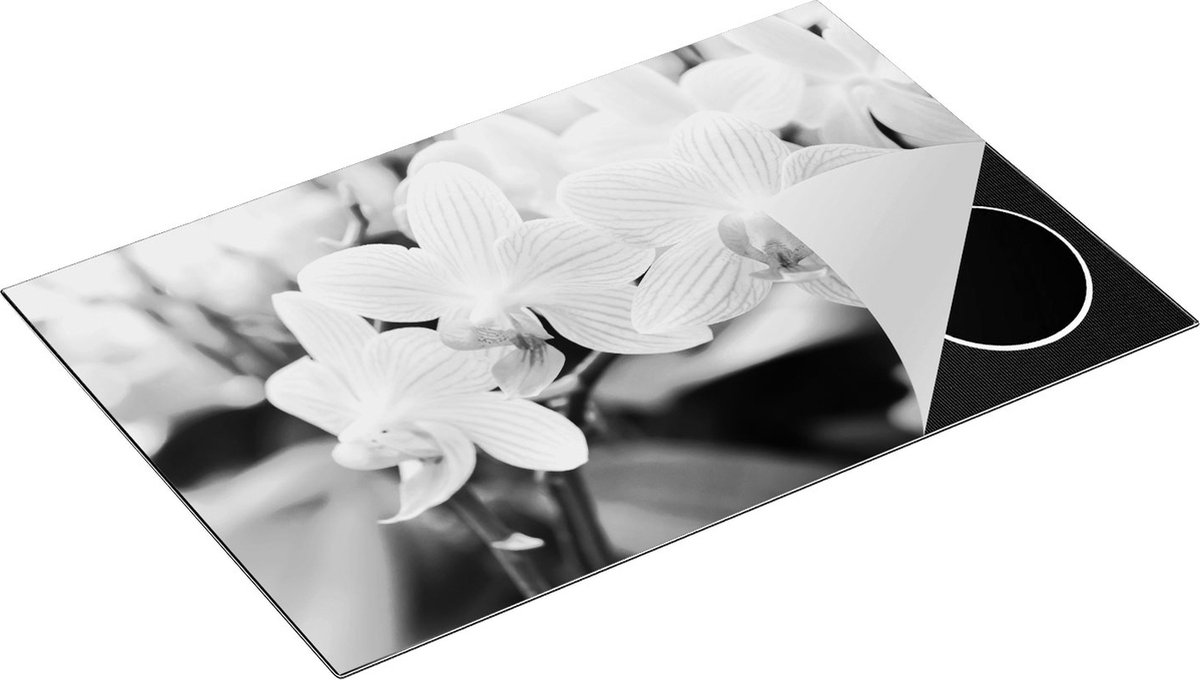 Chefcare Inductie Beschermer Gestreepte Witte Orchidee Bloemen - Zwart Wit - 80x55 cm - Afdekplaat Inductie - Kookplaat Beschermer - Inductie Mat