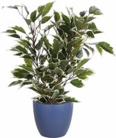 Groen/witte ficus kunstplant 40 cm met plantenpot nachtblauw D13.5 en H12.5 cm
