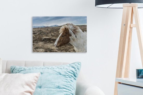 Portrait d'un brun cheval blanc 30x20 cm Islandaise - petit - impression photo sur toile peinture (Décoration murale salon / chambre à coucher) / Animaux sauvages Peintures Toile