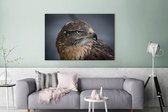 Canvas schilderij 140x90 cm - Wanddecoratie Een buizerd van dichtbij - Muurdecoratie woonkamer - Slaapkamer decoratie - Kamer accessoires - Schilderijen