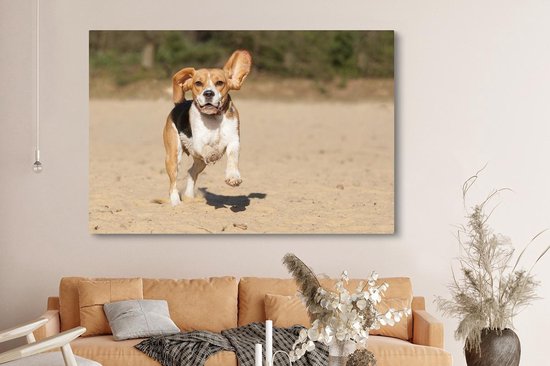 Peintures sur toile - Beagle marche dans le sable - 150x100 cm - Décoration murale