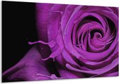 Peinture sur verre rose | Violet, noir | 120x70cm 1Hatch | Tirage photo sur verre |  F004153