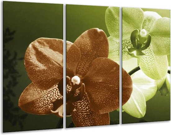 Glasschilderij Orchidee - Groen, Bruin, Wit - 120x80cm 3Luik - Foto Op Glas - Geen Acrylglas Schilderij - GroepArt 6000+ Glas Art Collectie - Maatwerk Mogelijk