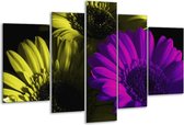 Peinture sur verre tulipe | Violet, vert, blanc | 170x100cm 5 Liège | Tirage photo sur verre |  F003737