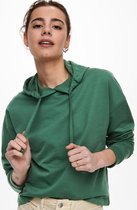 Only Trui Onldreamer Life L/s Hood Swt Noos 15241103 Smoke Pine Dames Maat - L
