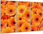 GroepArt - Schilderij -  Bloemen - Oranje, Zwart - 120x80cm 3Luik - 6000+ Schilderijen 0p Canvas Art Collectie