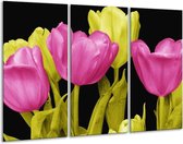 GroepArt - Schilderij -  Tulp - Roze, Geel, Zwart - 120x80cm 3Luik - 6000+ Schilderijen 0p Canvas Art Collectie