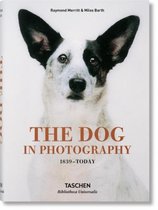 The Dog in Photography 1839 Today