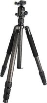 BEXIN W324C G44 Koolstofvezel statief Stabiele opnamecamera voor Vdeo Point Dslr-camera