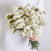 Gedroogde Bloemen Boeket Decoratie voor binnenhuis -  - 80g White