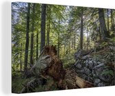 Canvas Schilderij Oerbossen in het Nationaal Park Kalkalpen in Oostenrijk - 90x60 cm - Wanddecoratie