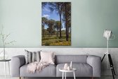 Canvas Schilderij Pijnbomen in het Nationaal park Doñana in Spanje - 80x120 cm - Wanddecoratie