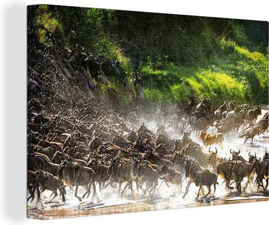 Canvas Schilderij Leeuw jaagt op wilde dieren in het Nationaal park Serengeti - 60x40 cm - Wanddecoratie