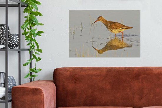 Tureluur in het ondiepe water Canvas 60x40 cm - Foto print op Canvas schilderij (Wanddecoratie woonkamer / slaapkamer)