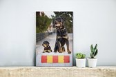 Canvas Schilderij Rottweiler-puppy naast een volwassen rottweiler - 20x30 cm - Wanddecoratie