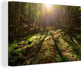 Forêt colorée dans le parc national des Carpates en Europe Toile 60x40 cm - Tirage photo sur toile (Décoration murale salon / chambre)