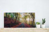Canvas Schilderij Herfstkleurige bossen van het Nationaal park Snowdonia - 40x20 cm - Wanddecoratie