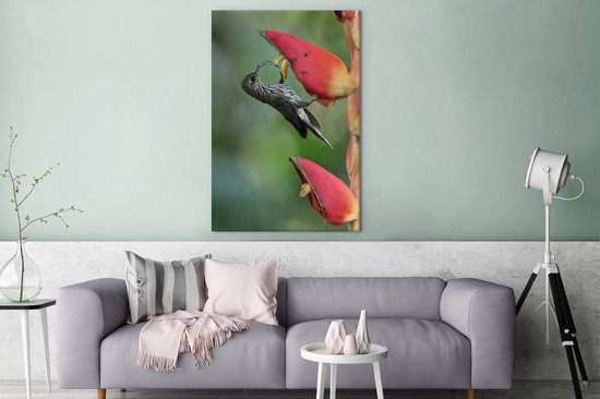 Le colibri à bec crochu à la fleur d'heliconia pogonantha au Costa Rica Toile 120x180 cm - Tirage photo sur Toile (Décoration murale salon / chambre) XXL / Groot format!