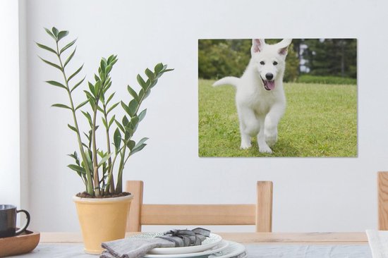 Canvas Schilderij De puppy van een witte Duitse herder - 40x30 cm - Wanddecoratie