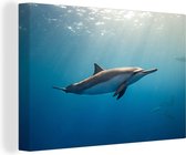 Canvas Schilderij Dolfijn - Zee - Zon - 30x20 cm - Wanddecoratie