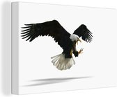 Aigle devant fond blanc toile 2cm 90x60 cm - impression photo sur toile peinture Décoration murale salon / chambre à coucher) / Animaux sauvages Peintures Toile