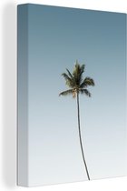 Palmier solitaire contre un ciel bleu 90x120 cm - Tirage photo sur toile (Décoration murale salon / chambre) / Arbres Peintures sur toile