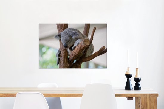 Canvas Schilderij Koala - Tak - Grijs - 60x40 cm - Wanddecoratie