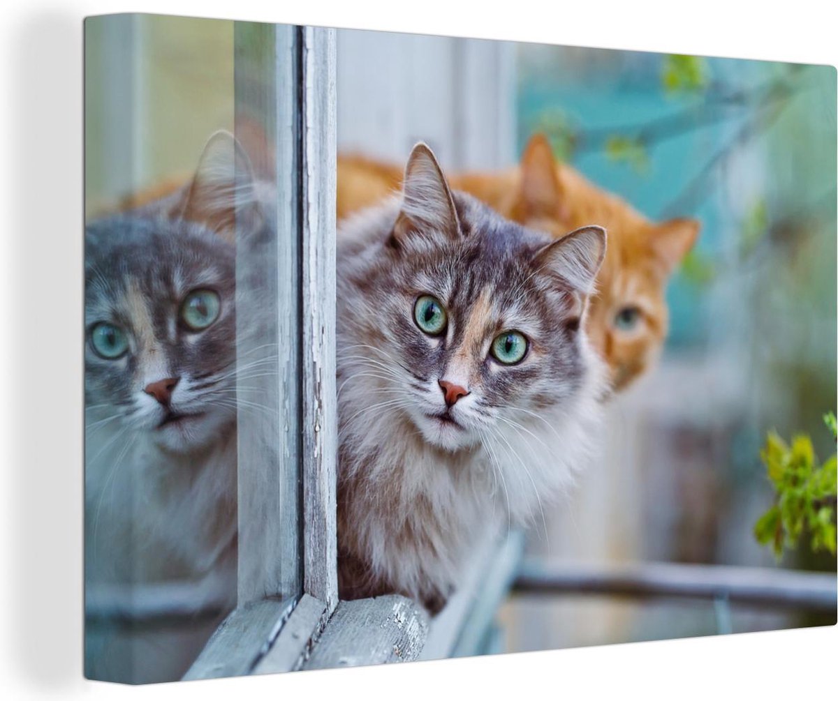 Chats regardant par la fenêtre toile 2cm 60x40 cm - Tirage photo sur