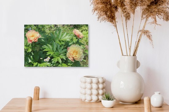 Toile fleur de pivoine 2cm 30x20 cm - petit - Tirage photo sur toile (Décoration murale salon / chambre) / Peintures sur toile Fleurs