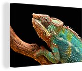 Caméléon panthère sur toile de branche 2cm 30x20 cm - petit - Tirage photo sur toile (Décoration murale salon / chambre) / Animaux sauvages Peintures sur toile