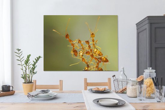 Toile Peinture Fourmis - Oranje - Animaux - 120x90 cm - Décoration murale