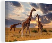 Canvas Schilderij Giraffes - Zon - Afrika - 30x20 cm - Wanddecoratie