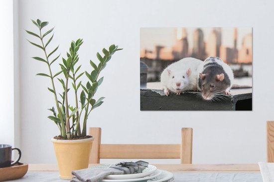 Peintures sur toile - Deux rats sur le quai - 40x30 cm - Décoration murale