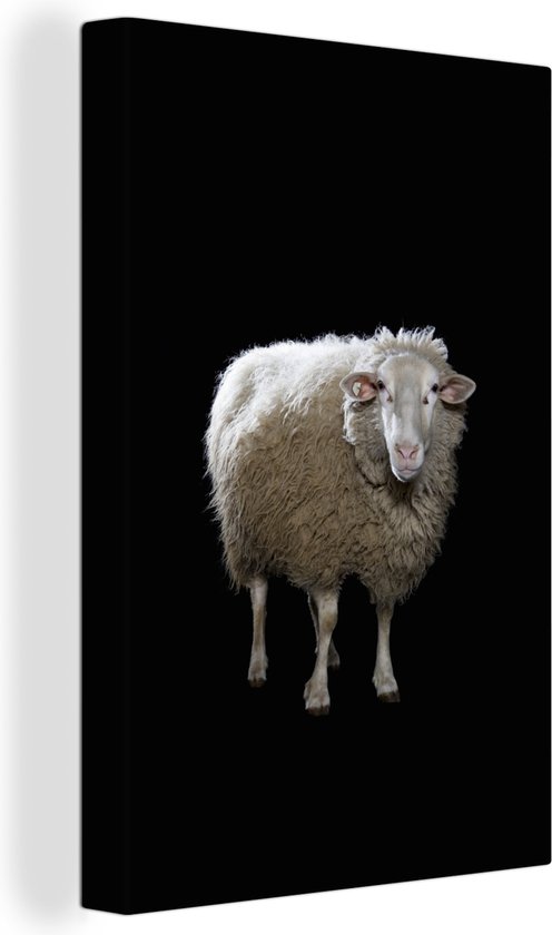 Mouton de Sardine sur toile de fond noir 2cm 60x90 cm - Tirage photo sur Toile (Décoration murale salon / chambre) / Peintures sur toile Animaux sauvages