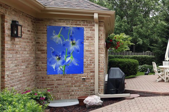 Affiche de jardin - Ciel bleu sur un delphinium - 90x120 cm
