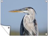 Affiche de jardin - Héron regardant loin - 120x90 cm