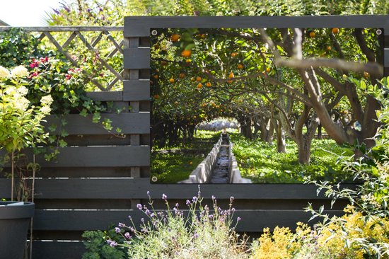 Affiche jardin - Toile jardin - Posters de jardin extérieur - Orangeraie en Espagne - 120x80 cm - Jardin