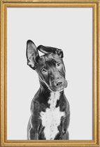 JUNIQE - Poster met houten lijst Dog II -20x30 /Grijs & Zwart