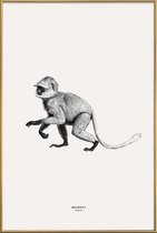 JUNIQE - Poster met kunststof lijst Monkey -13x18 /Grijs & Ivoor