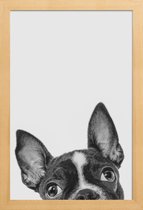 JUNIQE - Poster met houten lijst French Bulldog II -13x18 /Grijs &