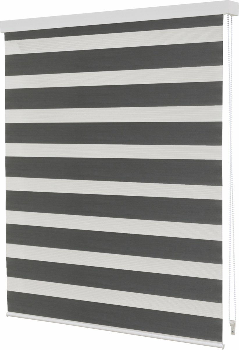 Intensions Roljaloezie lichtdoorlatend unicolor Donkergrijs 150x160cm